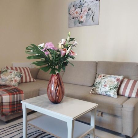 Spacious Apartment La Mata Pool&Beach 또레비에하 외부 사진