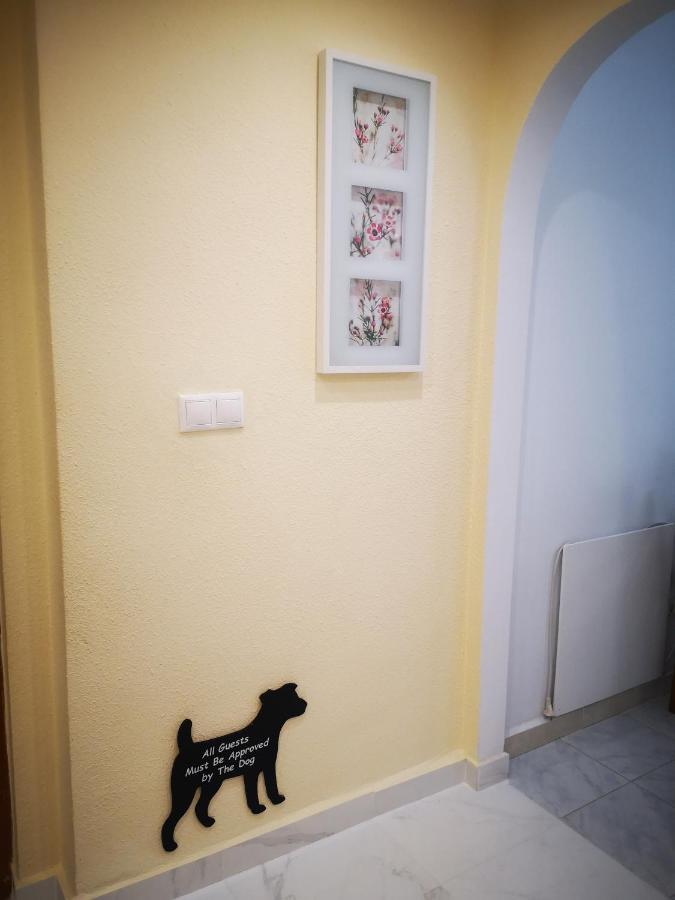 Spacious Apartment La Mata Pool&Beach 또레비에하 외부 사진