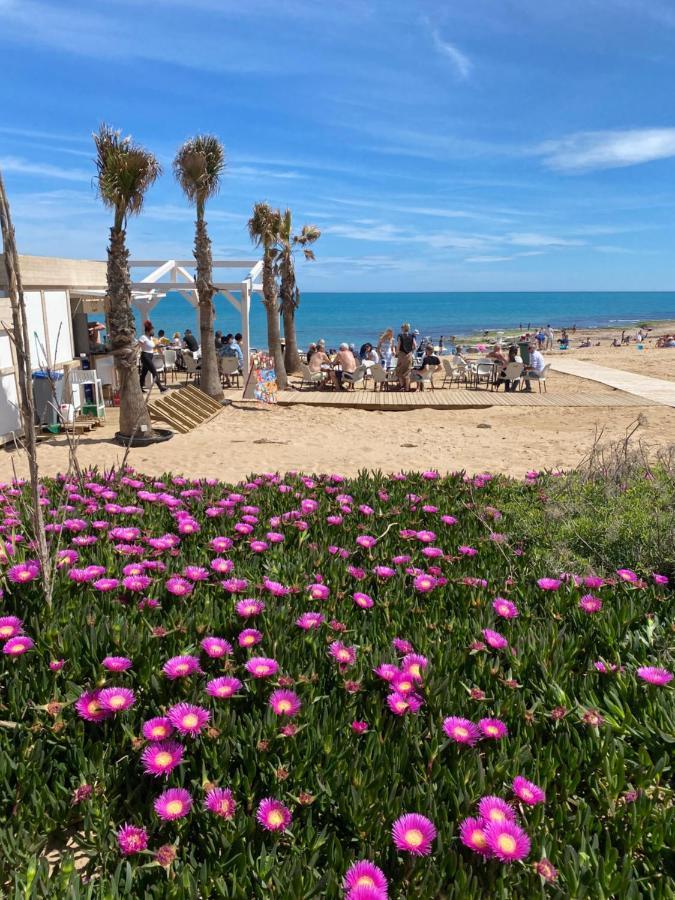 Spacious Apartment La Mata Pool&Beach 또레비에하 외부 사진